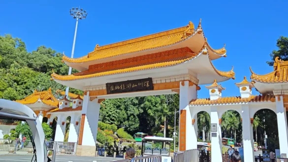 深圳仙湖植物园