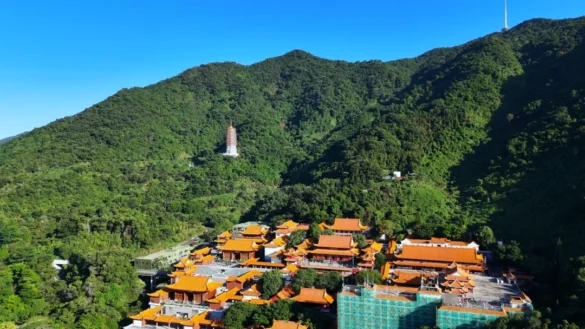 深圳仙湖植物园