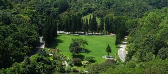 深圳仙湖植物园