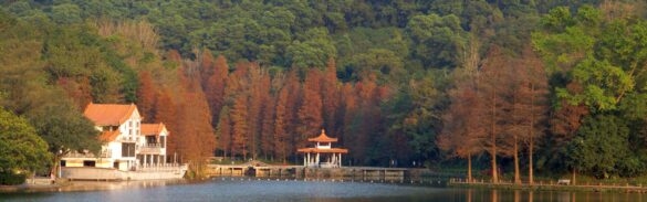 深圳仙湖植物园